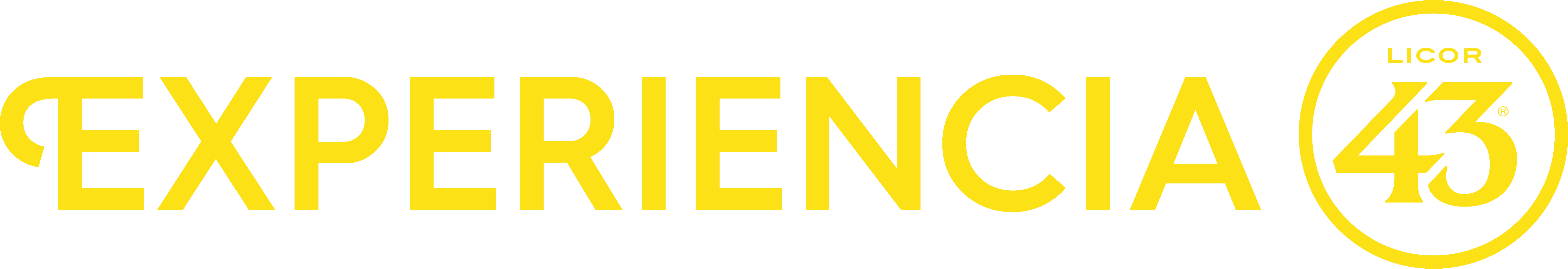 Patrocinadores Experiencia 43